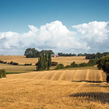 Femo Anno2022 Hotel 2*